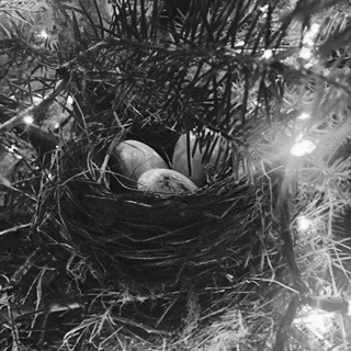 Christmas Nest